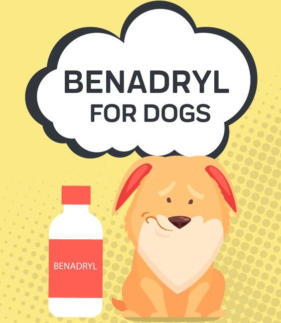 benadryl for dogs
