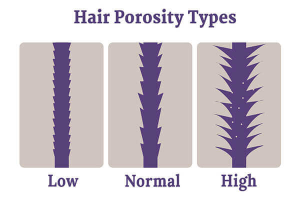 High Porosity Hair 