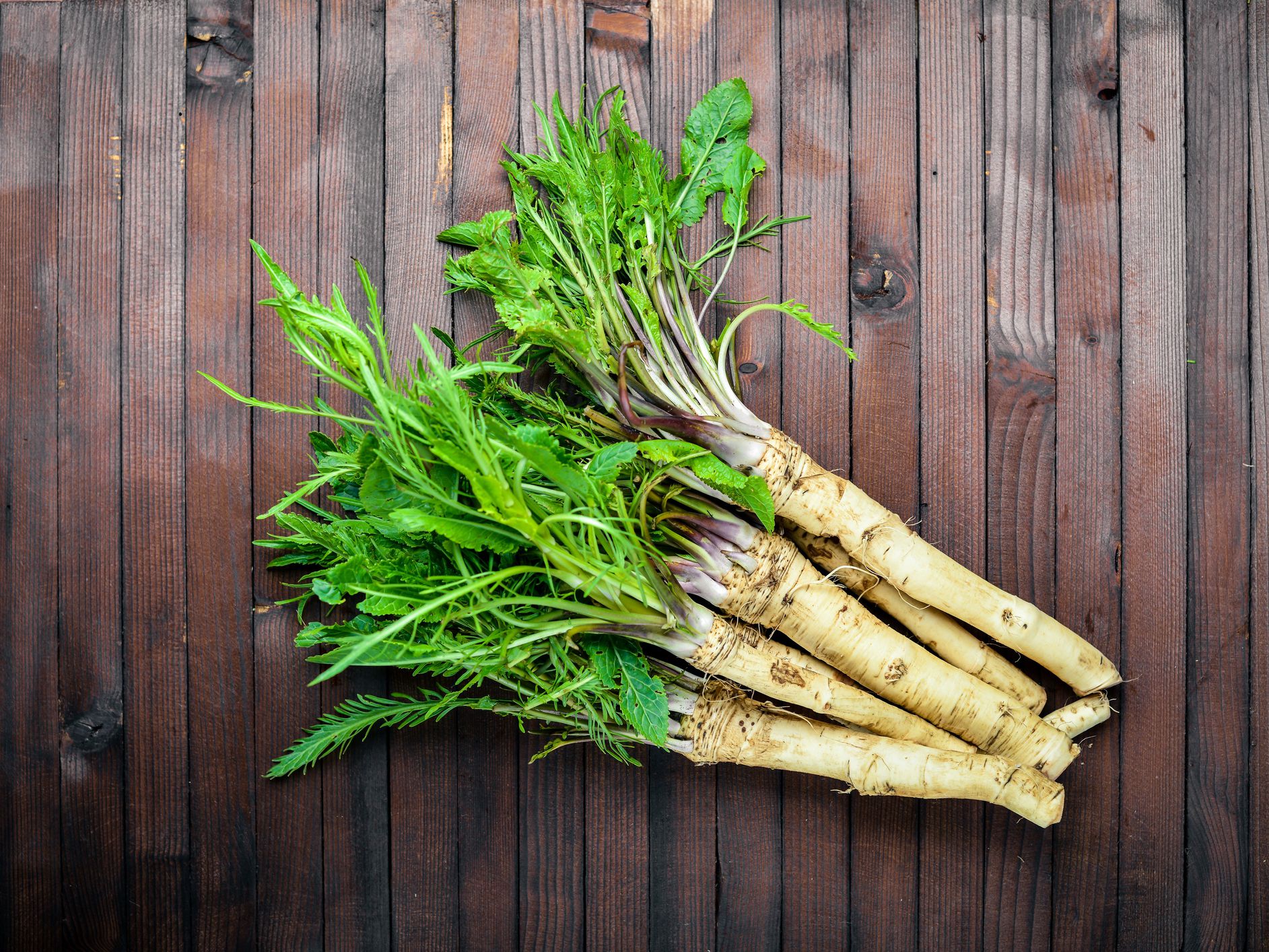 dietitians-online-blog-national-horseradish-month-all-about-horseradish