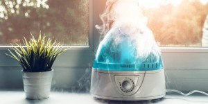 how to clean a humidifier